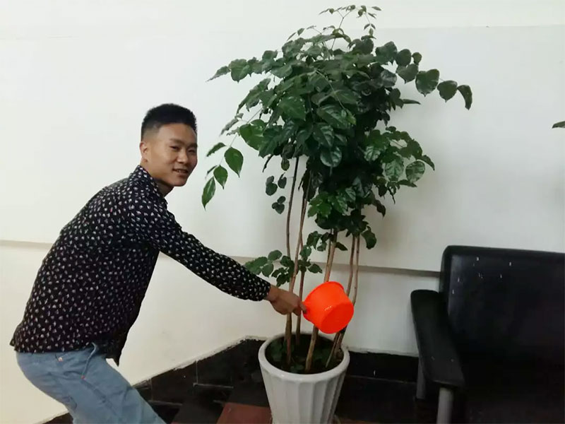 ����ɭ�ɹ��W�T