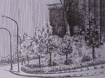 ����ɭ�b���O(sh��)Ӌ���ͬ�W(xu��)�������L��Ʒ