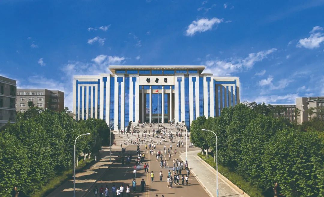 ��(��i)��ɭ����