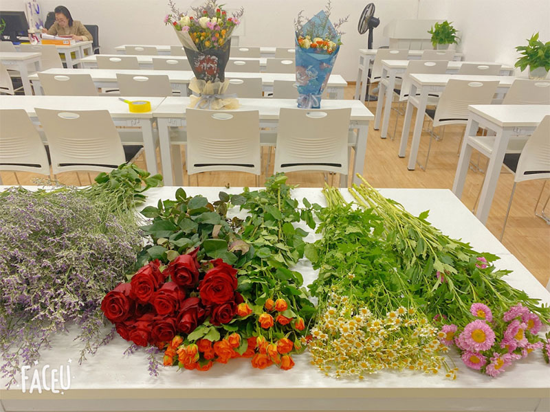 ����ɭ���o��У�^�e�k�̄��k���Y�I��Y