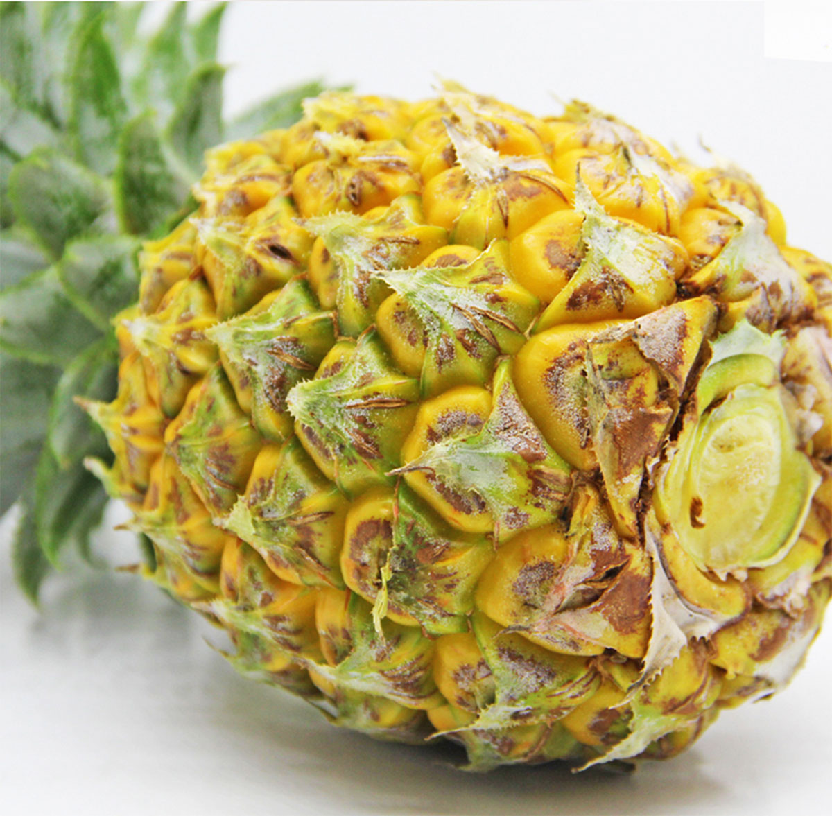 ����ɭ����ƽ����Ʒ-���ƺù����Ԍ�����b���c�aƷԔ�������