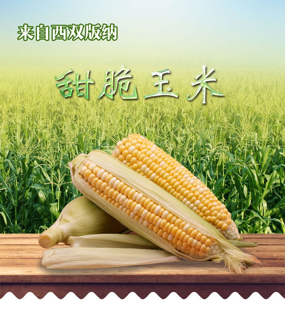 ����ɭ����ƽ����Ʒ-���ƺù����Ԍ�����b���c�aƷԔ�������