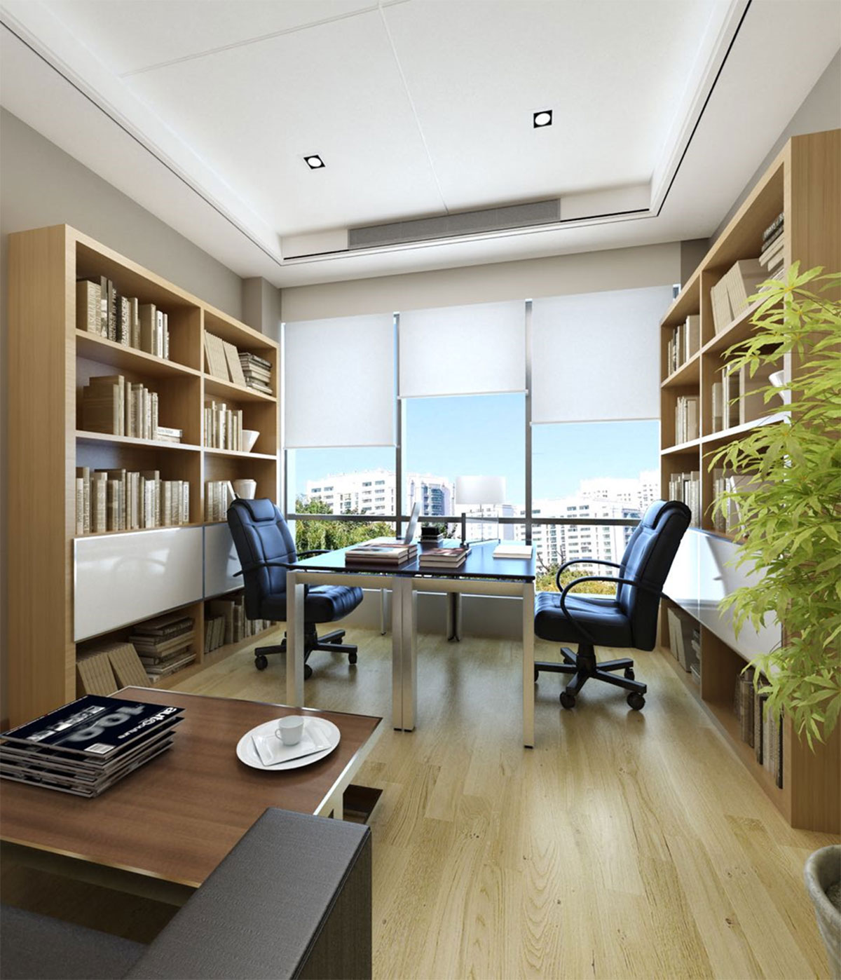 �F�������󔵓�����Ч���Dչʾ