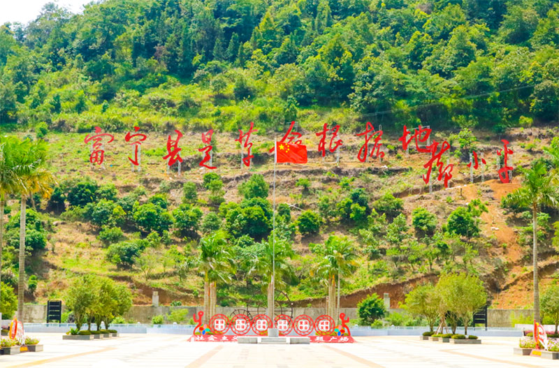 ����ɭ�������M�������_չ���ľ�ٛ���