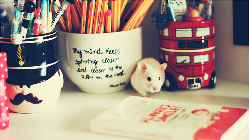 2024����˱���ʲô�r�����������ڎ��·��_ʼ��