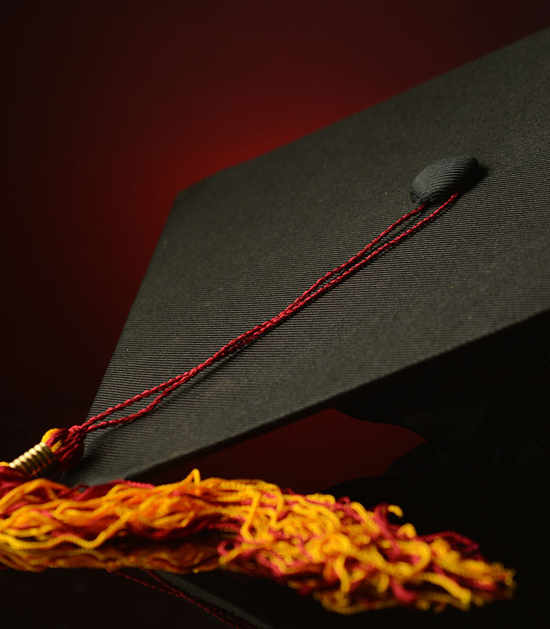 2024���˴��ϰ�����ô��������������ʲô��