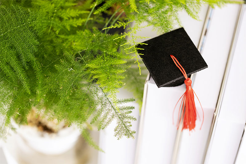 ȫ���ƴ󌣺ͺ��ڴ󌣵ą^(q��)�e����Щ���治ͬ��