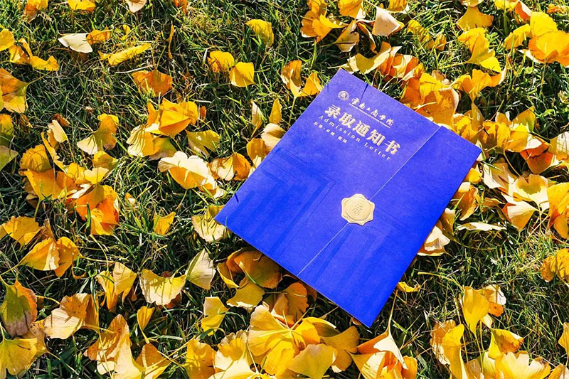 ���Ϲ��̌WԺ���˸ߵȌW�v�����ȡ֪ͨ�������ĳ�