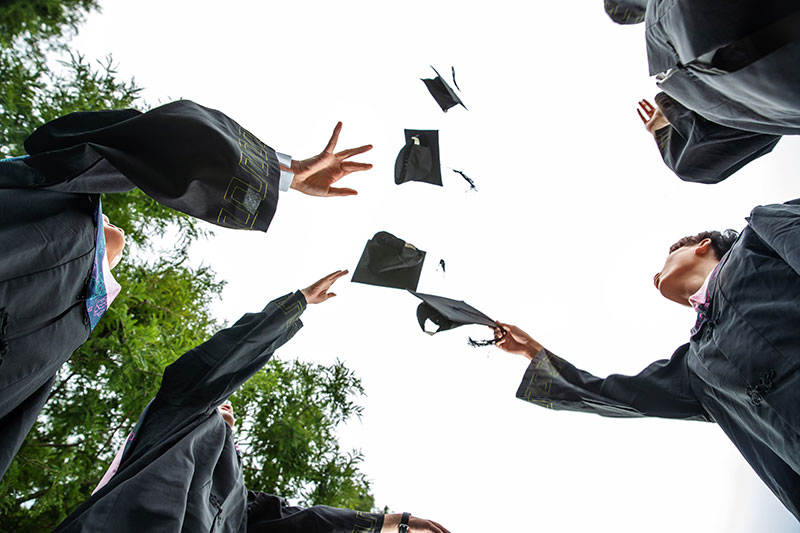 2024�ϰ�����ô�����W�v��ʲô�������^���V��