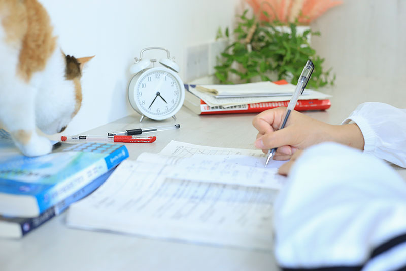 �x����˸߿������W(xu��)�v�ă�(y��u)��(sh��)