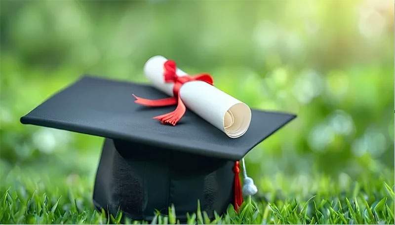 2025ȫ���Tʿ�о����������ų��t