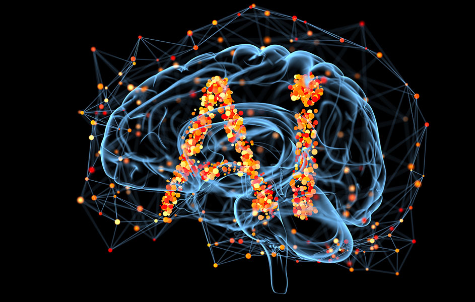 ����AI��Ӗ�WУ��ô�x���x���ļҺã�