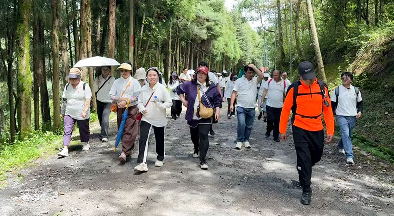 ����ɭ�����e��26����c�F(tu��n)�����