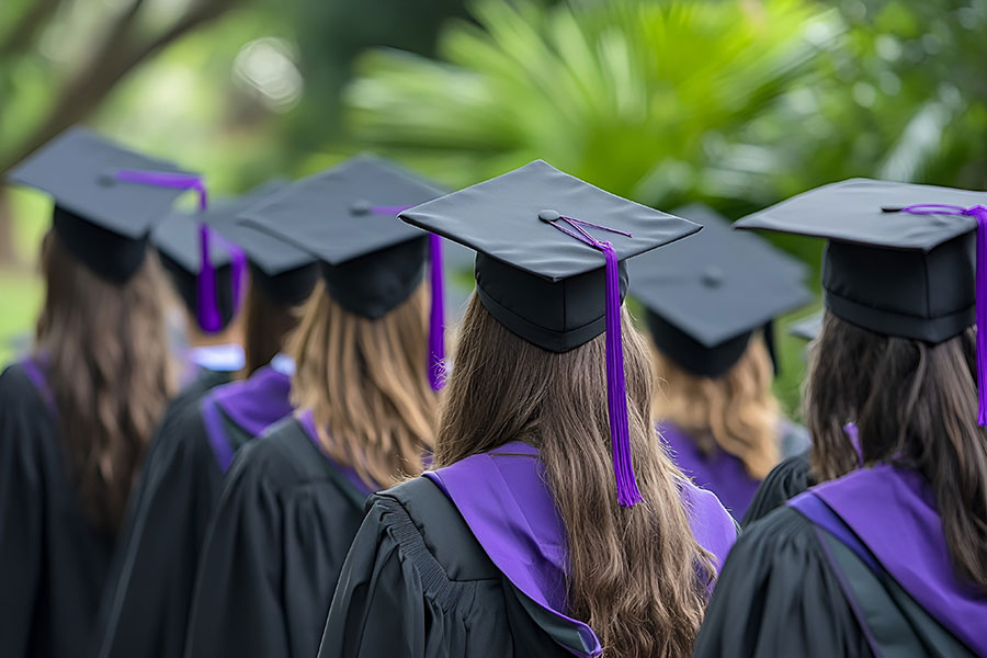 2025����ˌW�v���Æ᣿���ҵ������᣿